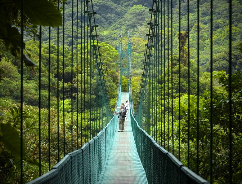 Monte_Verde_Verde2-3.jpg