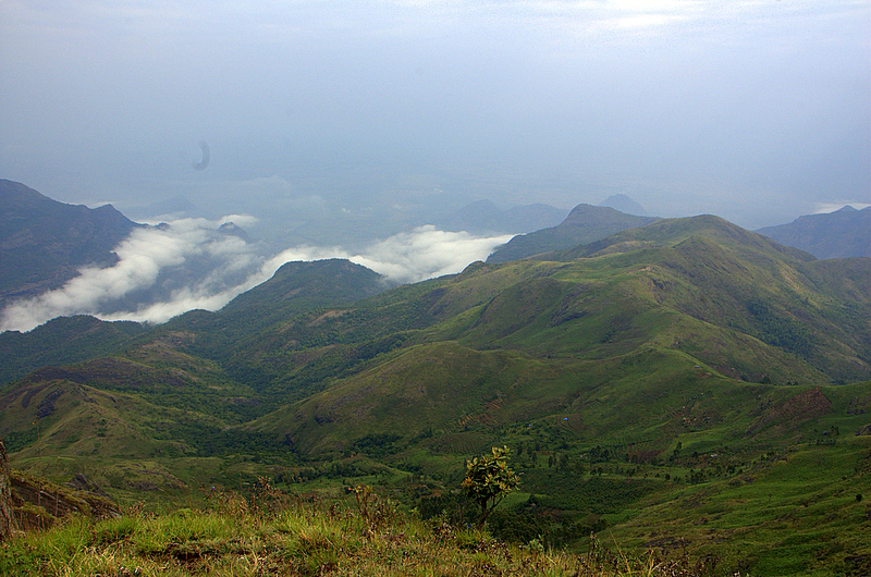 Palani_hills_kodaikanal-3.jpg